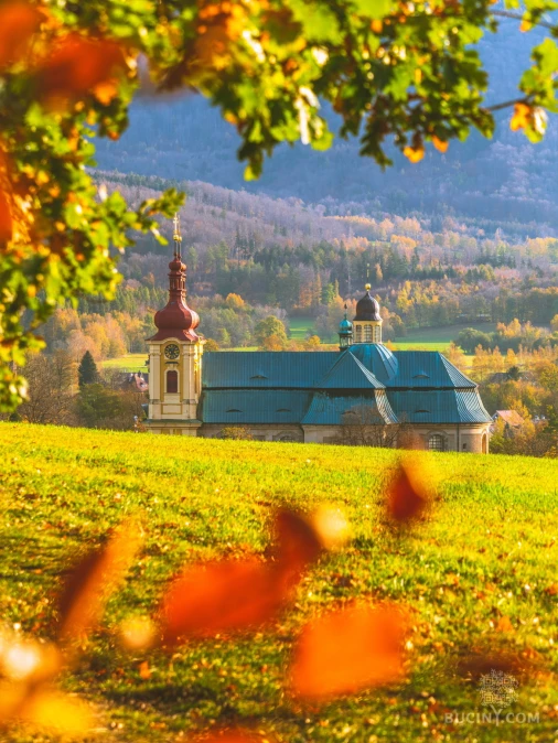 Jizerskohorské bučiny objektivem Tomáše Exnera
