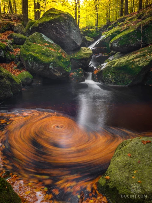 Jizerskohorské bučiny objektivem Tomáše Exnera