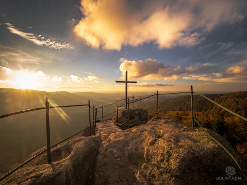 Jizerskohorské bučiny objektivem Tomáše Exnera