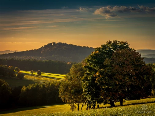 Jizerskohorské bučiny objektivem Tomáše Exnera