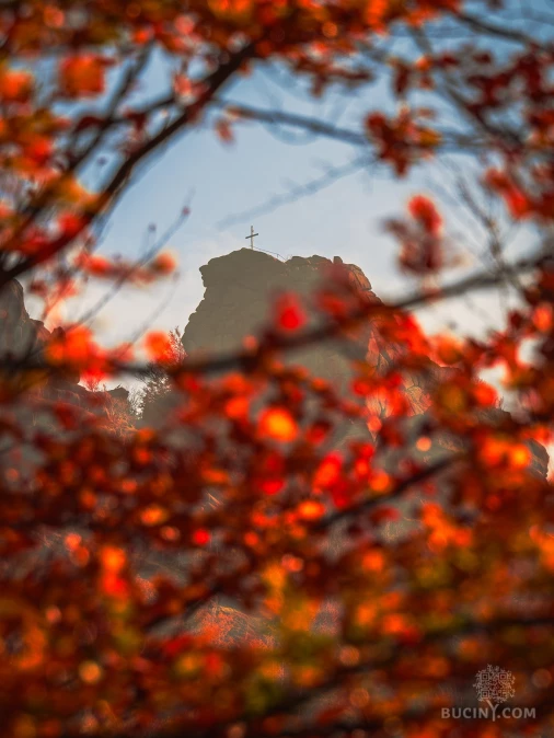 Jizerskohorské bučiny objektivem Tomáše Exnera