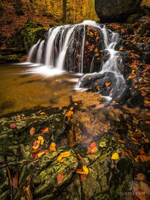 Jizerskohorské bučiny objektivem Tomáše Exnera