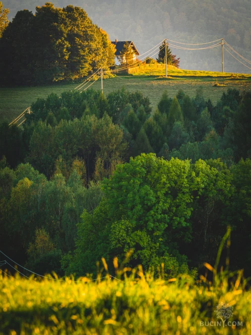 Jizerskohorské bučiny objektivem Tomáše Exnera