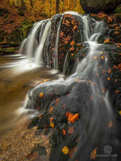 Jizerskohorské bučiny objektivem Tomáše Exnera