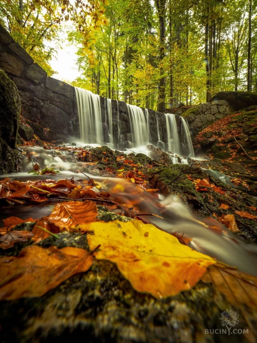 Jizerskohorské bučiny objektivem Tomáše Exnera