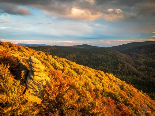 Jizerskohorské bučiny objektivem Tomáše Exnera