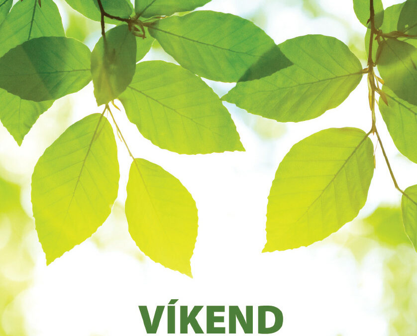 Víkend v Jizerskohorských bučinách